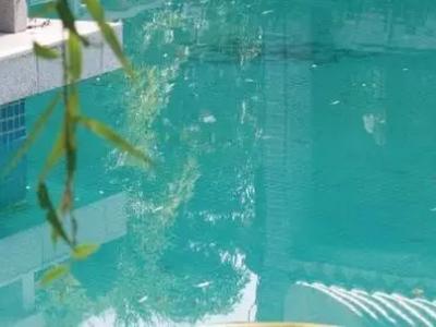 高效防水耐腐蚀：JN体育超强水池涂料