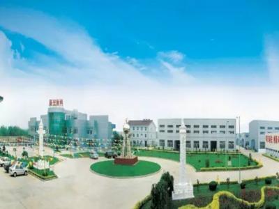 JN体育耀飞扬：起赴鸟巢 坚守不一样的寻梦记