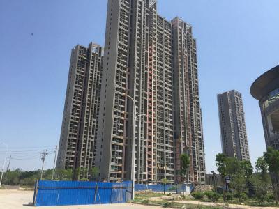 品质开路 实力见证：JN体育瓷砖粘结剂精品工程之郑州永威西郡滨河花园项目