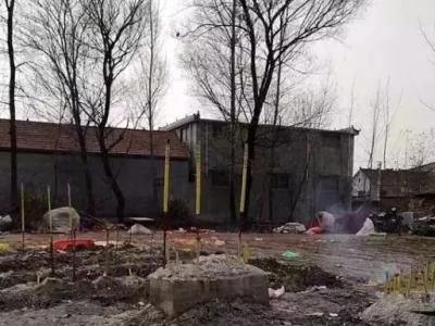 5.7米高粱引祭拜，99%这样的人都在临时抱佛脚！