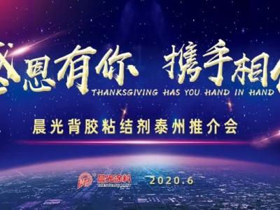 &ldquo;感恩有你 携手相伴&rdquo;，JN体育背胶粘结剂泰州推介会圆满举办